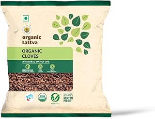 Organic Tattva Garam Masala 100g